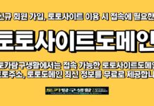 토토사이트도메인