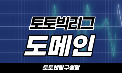 토토빅리그도메인