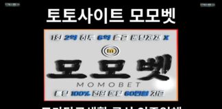 토토사이트 모모벳